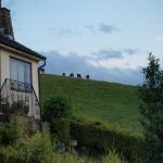 images/cottage-gallery/Looking-onto-the-farm-field.jpg